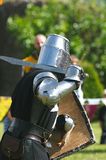 Medieval Battle img 3052 800